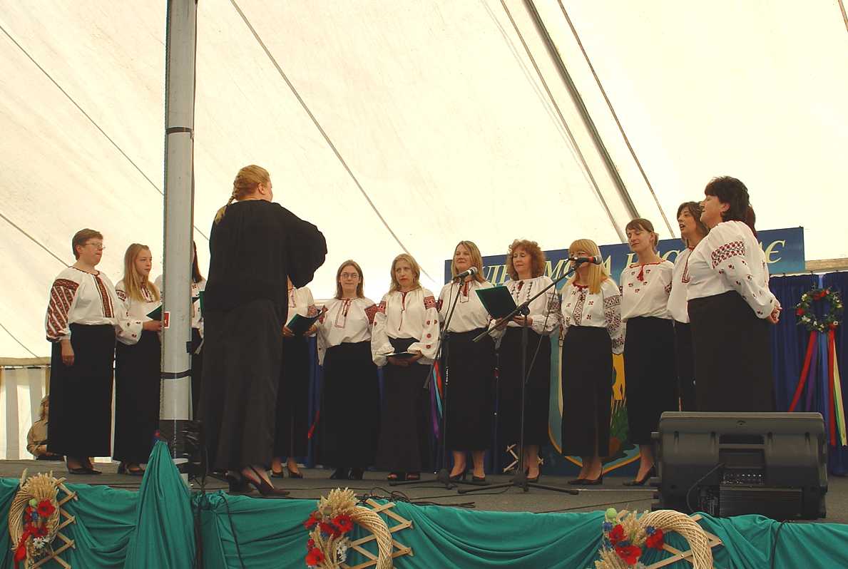 adults choir